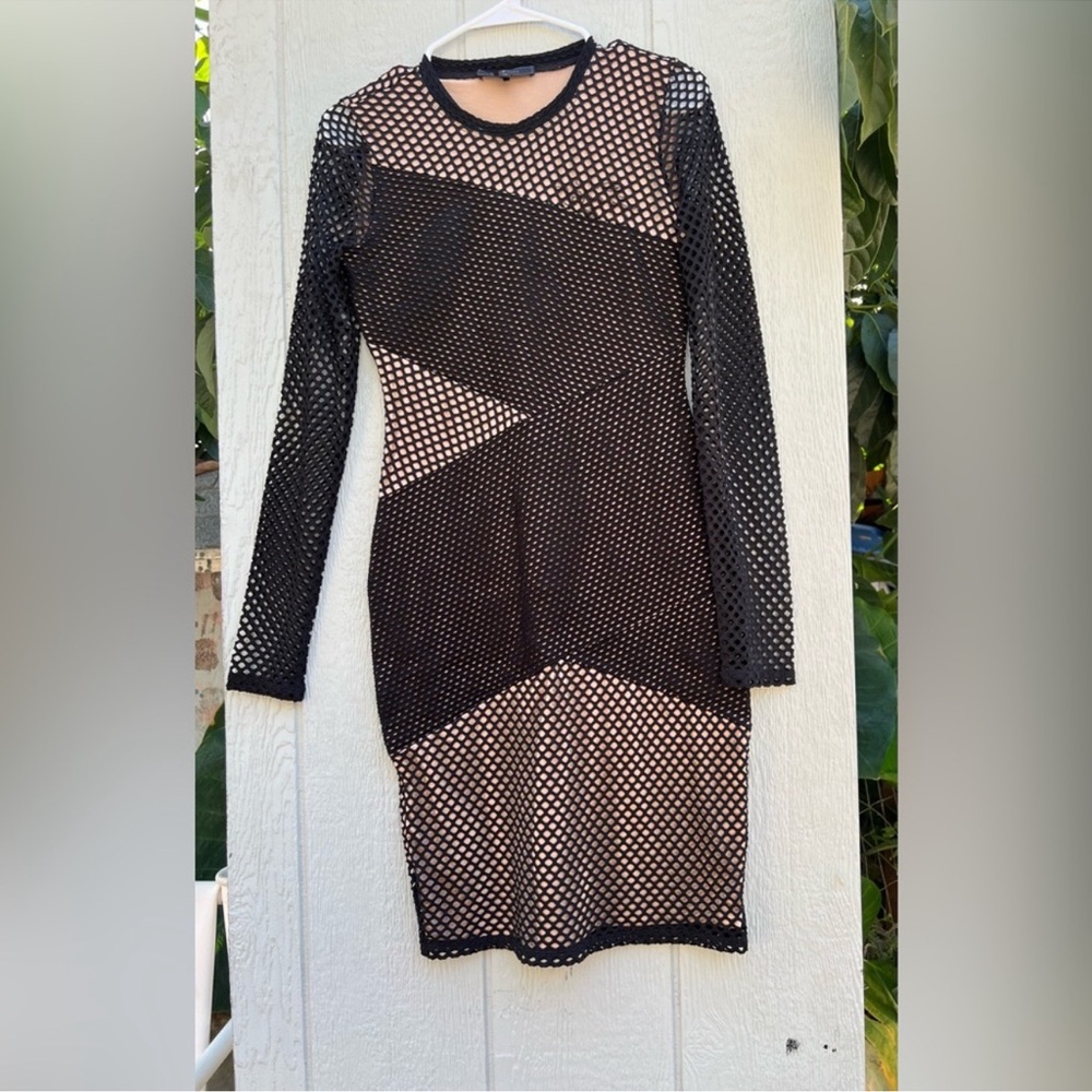 Bcbgmaxazria bodycon mesh dress